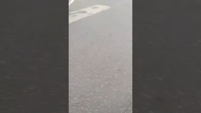 У меня сломался самокат