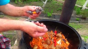 ПЛОВ противовирусный