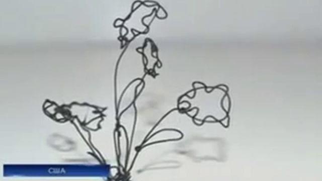 Объемные рисунки.mp4 смотреть онлайн