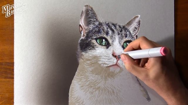 Drawing Cat ? so real that you can hear its purr!!! смотреть онлайн