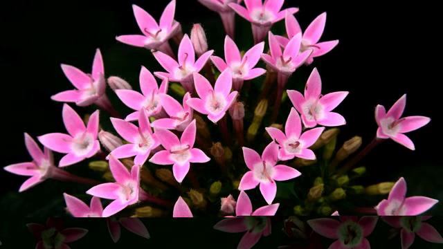 Реки самых свежих хитов музыки и фото в отличном... смотреть онлайн