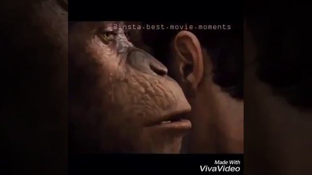 Котинги смотреть онлайн