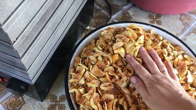 Приключения на Воде