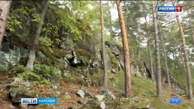 «Культурная афиша» 21-22 сентября смотреть онлайн