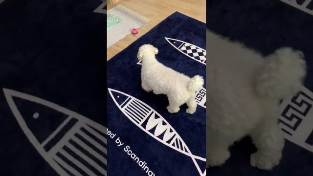 머리가 아니라 몸을 쓰는 타입, 아니 머리를 쓰긴 해 смотреть онлайн
