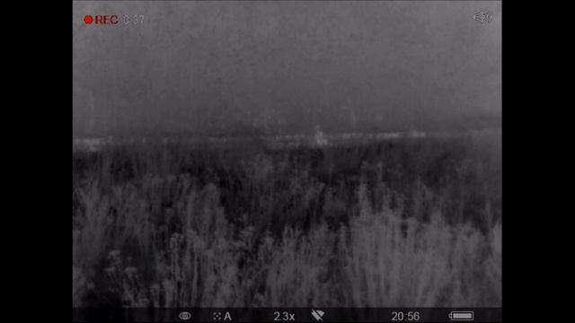 PULSAR Helion XQ28F TEST