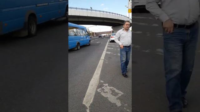 Гаи в не закона помогают мади смотреть онлайн