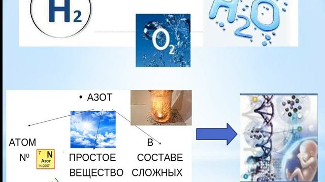 Биология 7кл №12 урок Значение микро и макроэлементов смотреть онлайн