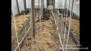 Подготовка грунта в теплиц