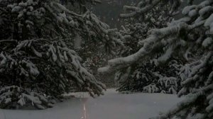 Костер на снегу в зимнем лесу - искры, звуки вьюги, метели. Для медитации. Для сна. Релакс. ASMR