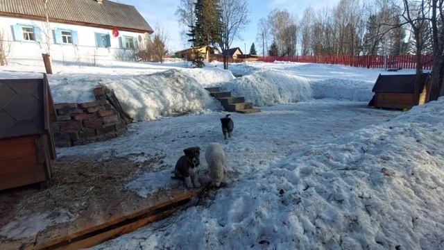 19.03.23. Константинов День, Константиновы Круги. смотреть онлайн