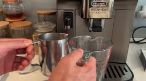 Delonghi Magnifica Evo | How to clean and maintain