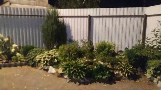 02.09.22 Тюмень. Последний тёплый вечер уходящего сезона. Прогулка по розарию смотреть онлайн