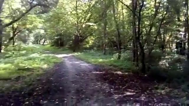 Я был отдыхал в санатории "Красная поляна" в селе Лавы смотреть онлайн