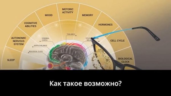 Zepter Latvia: Фуллереновые очки Zepter Hyperlight Eyewear - eksperiment