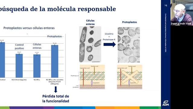 BPL1: Un probiótico para la salud metabólica. смотреть онлайн