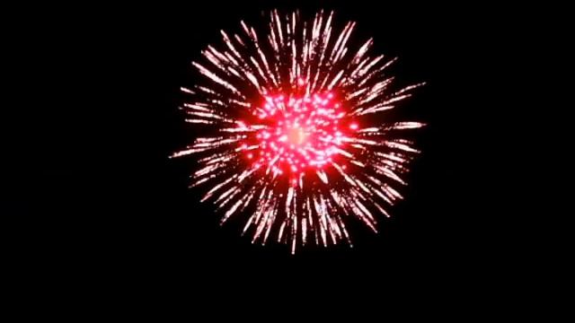 6'' серебрянная хризантема с красным пестиком смотреть онлайн