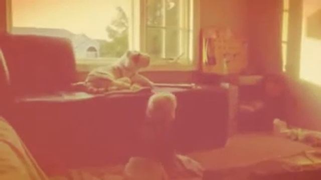 Jumping Is Fun! смотреть онлайн