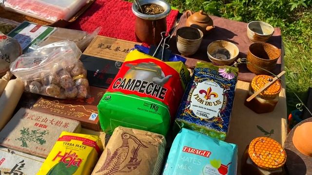 Дольмены Возрождения в долине реки Жане. Путешествие в Геленджик смотреть онлайн