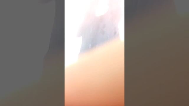 НАЙДИБІЛІНІШИЙ ВЕЛІК І ТАРАС ЛЮДИНА смотреть онлайн