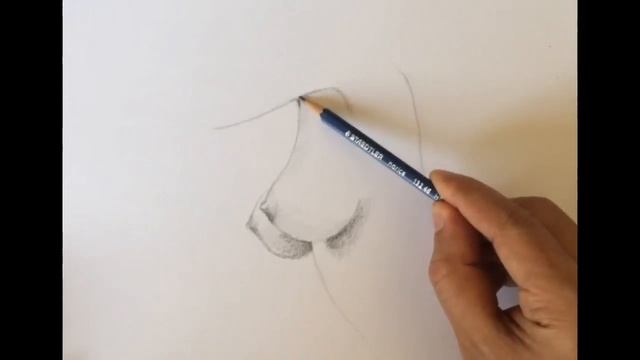 طريقة رسم الثدي بقلم الرصاص How To Draw Breast By Pencil смотреть онлайн
