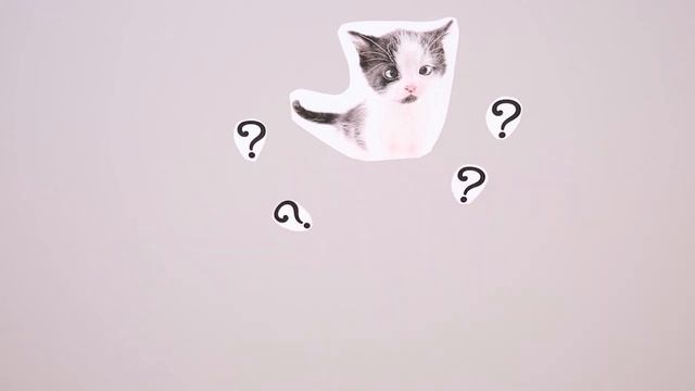 KDD2016 paper 920 смотреть онлайн