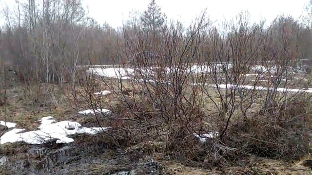 Коп Чермета с AR 944 M... Открытие сезона КОПА. 2019. смотреть онлайн