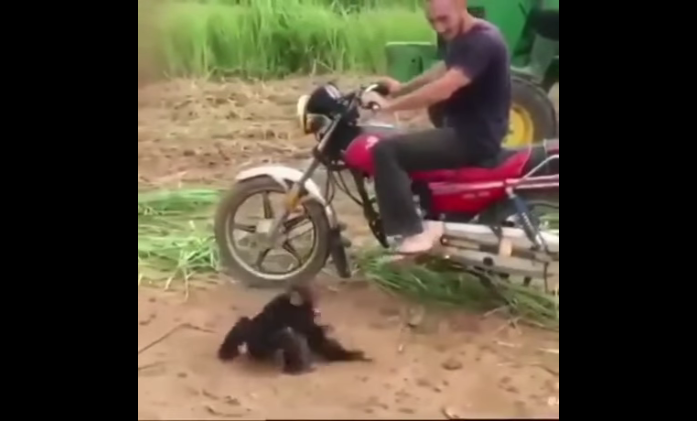 В смысле ты меня не берешь??? смотреть онлайн