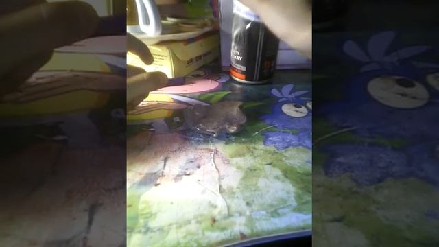 В слайм добавляем дезодорант (загуститель для слаймов и лизунов) смотреть онлайн