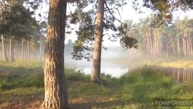 Стихотворение "Я начинаю всё сначала". смотреть онлайн