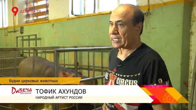 Цирк репетиция с бегемотами смотреть онлайн