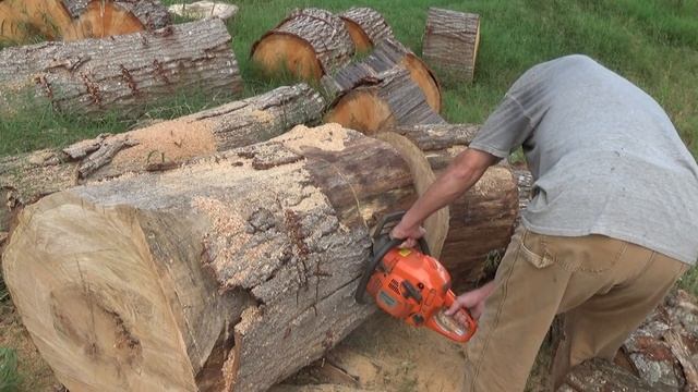 HUSQVARNA 445 Vs HUSQVARNA 450 JUST FOR FUN