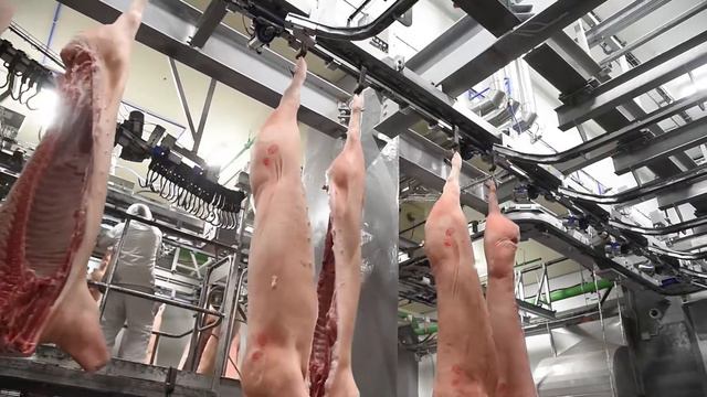 Визит на мясоперерабатывающее предприятие АГРОЭКО