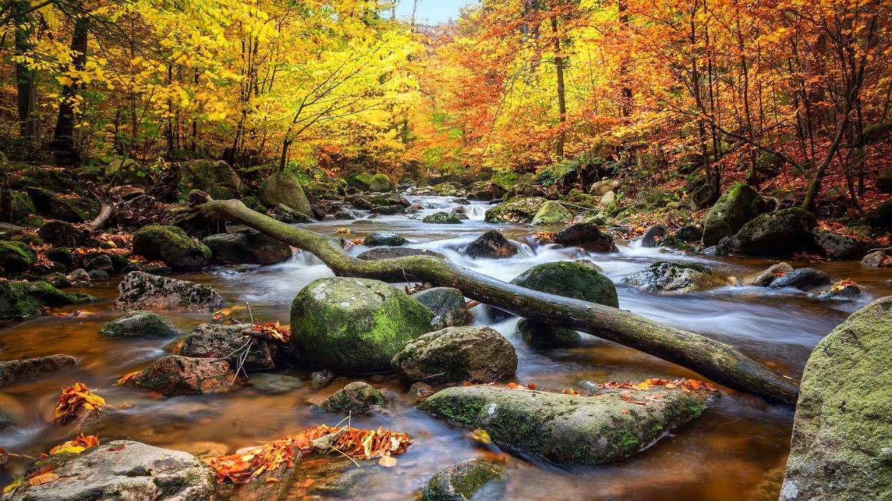 Нежные звуки горной реки для сна, учебы и отдыха ✦ Успокаивающие Звуки ✦ Relax Sleep смотреть онлайн