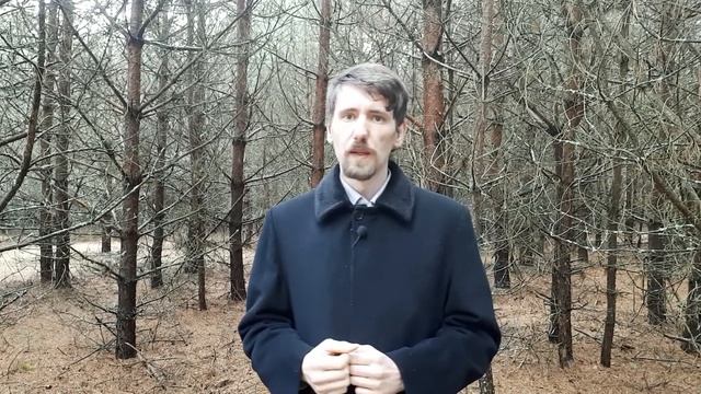 Как образное мышление влияет на нашу жизнь и при чем здесь 2-е внимание смотреть онлайн