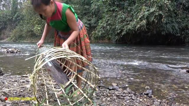 Smart Girl Build Fish Trap Catch Big Fish At River | Primitive Life Cooking Fish For Survival