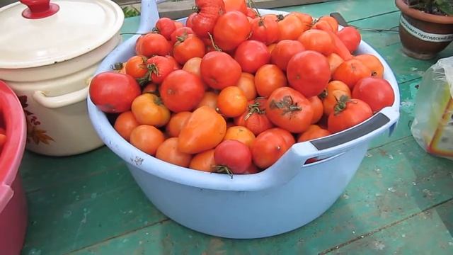 Томатный сок из сортовых помидор смотреть онлайн