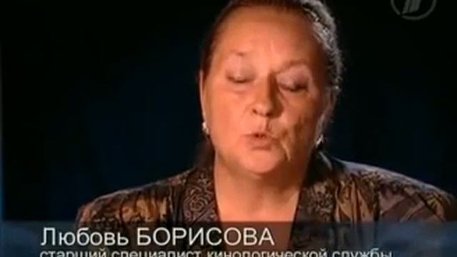 Живое оружие человека Использования животных в военных целях смотреть онлайн
