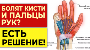 Боль в кистях рук уйдет НАВСЕГДА! / Лечебная гимнастика для кистей и пальцев рук.