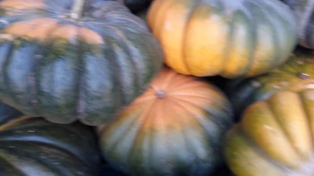 Помидоры ИНДИГО.Очередные сборы на рынок смотреть онлайн