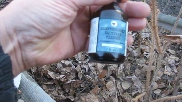 ЭЛЕУТЕРОКОКК - ЗАЩИТНИК И СТИМУЛЯТОР ИММУНИТЕТА