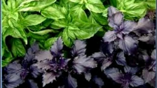 Приготовим сами!