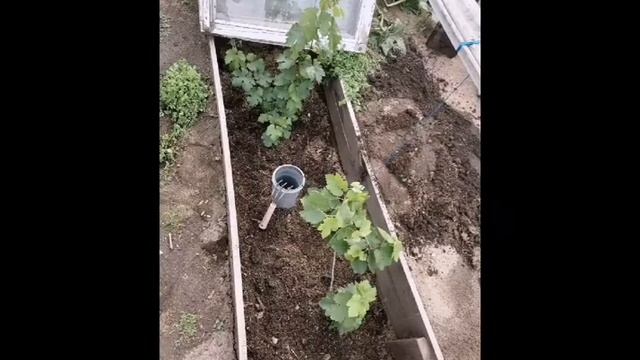 Гусиноозерск, Бурятия. Автор: Васильев Сергей, 2021 год. смотреть онлайн