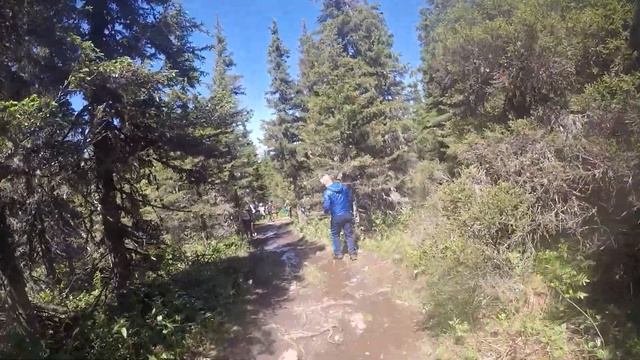 Ультрамарафон "Здоровый как Лось" 2021 гора Большой Иремель skyrunning trail смотреть онлайн
