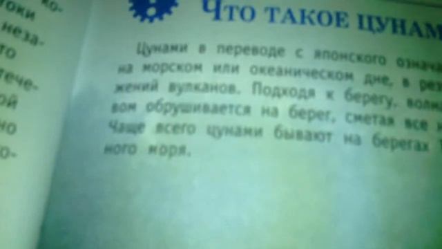 Пищевые цепочки смотреть онлайн