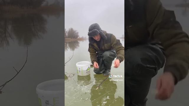 20 листопада 2023 р.