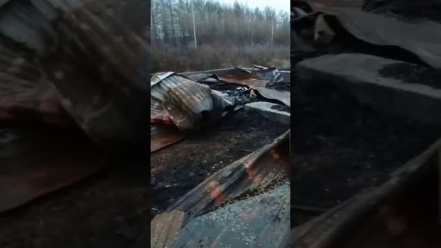 Подготовка участка к постройке бани смотреть онлайн