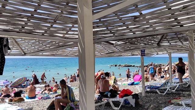 Вход на Прохоровский стал платным? 16 августа в Архипо-Осиповке смотреть онлайн