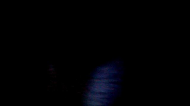 Animal Liberation Syktyvkar (ЗАЭ)