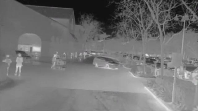 FLIR thermal daytime driving смотреть онлайн